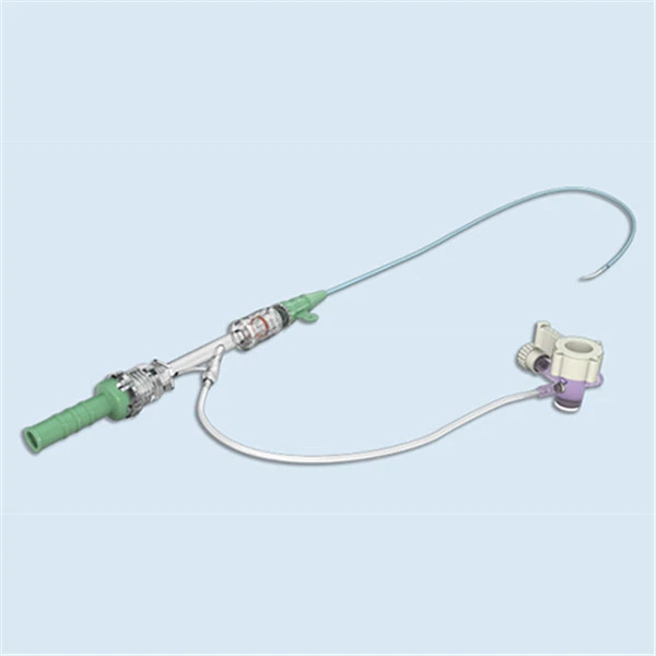 Introducer Catheter (1)